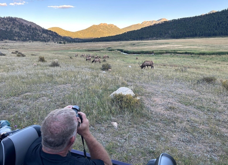 A man photographing elk in a grassy field with mountains in the background. 4