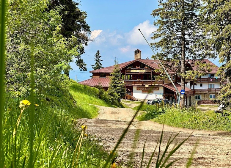 Picture 6 for Activity Brașov: Hike to the Hidden Milk Cave&Postăvarul Mountain Hut 4
