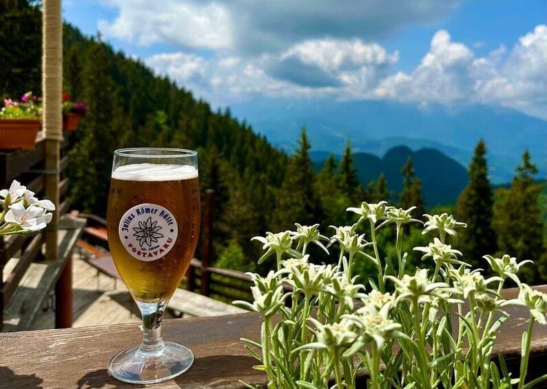 Picture 2 for Activity Brașov: Hike to the Hidden Milk Cave&Postăvarul Mountain Hut 5