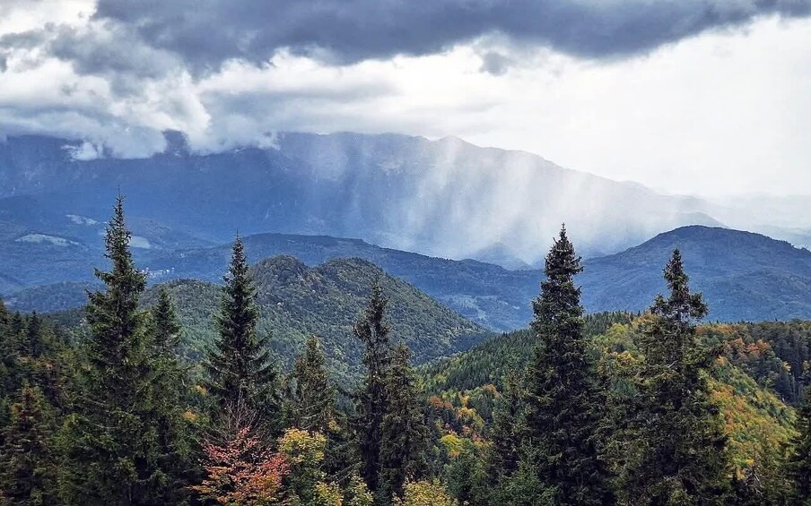 Brașov: Hike to the Hidden Milk Cave&Postăvarul Mountain Hut 2