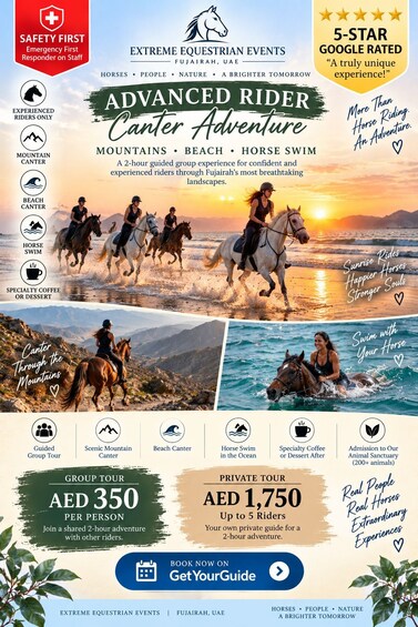 Picture 24 for Activity Swimming with horses, beach riding and heritage tours. 4