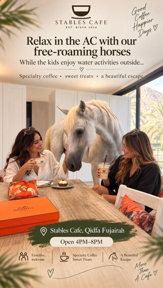 A cafe with a horse in the background, specialty coffee, and sweet treats. 4