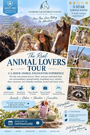 Swimming with horses, beach riding and heritage tours. 1