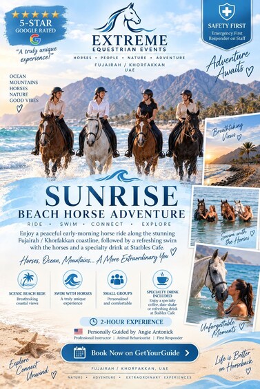 Picture 25 for Activity Swimming with horses, beach riding and heritage tours. 3