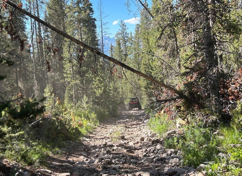 A rocky trail in a forest with a vehicle in the distance. 2