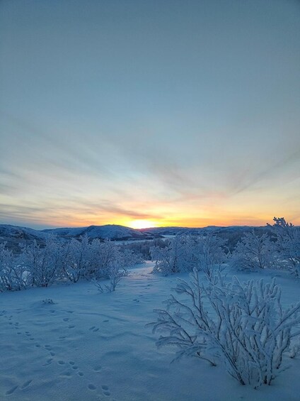 A snowy landscape with a sunset, snow-covered trees, and a clear sky. 3
