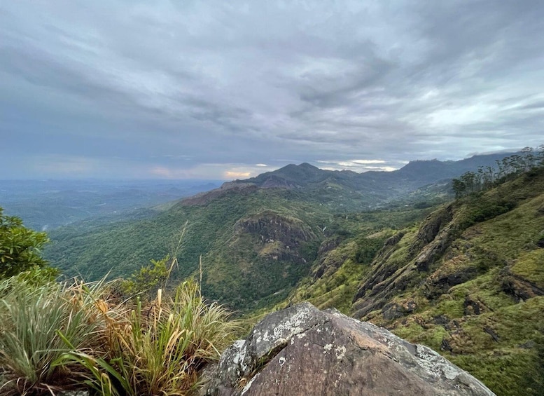 Picture 8 for Activity Explore hidden gems in Ella by Tuk Tuk 3