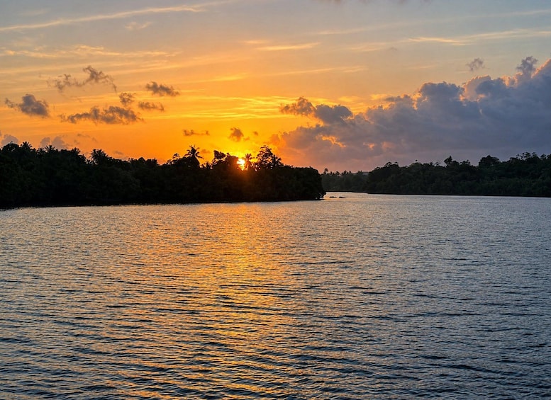 Picture 5 for Activity Koggala Lake Boat Safari with Wildlife & Cinnamon Island 2