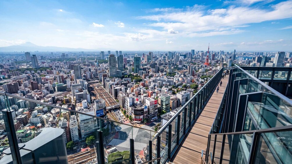 Picture 6 for Activity Tokyo: Shibuya Sky, Crossing & Hachiko Guided Tour 3