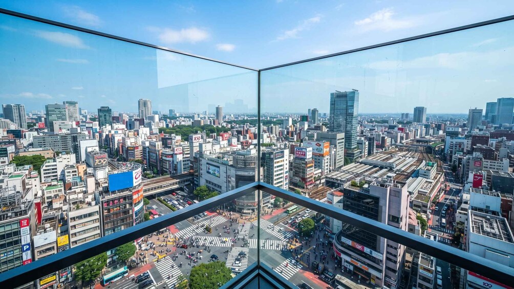 Picture 8 for Activity Tokyo: Shibuya Sky, Crossing & Hachiko Guided Tour 5