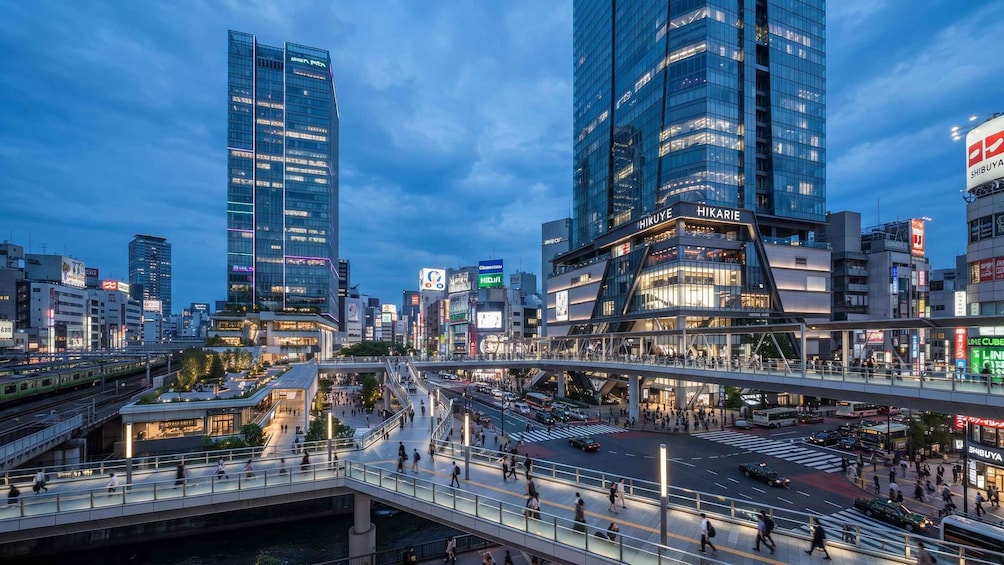 Picture 30 for Activity Tokyo: Shibuya Sky, Crossing & Hachiko Guided Tour 4