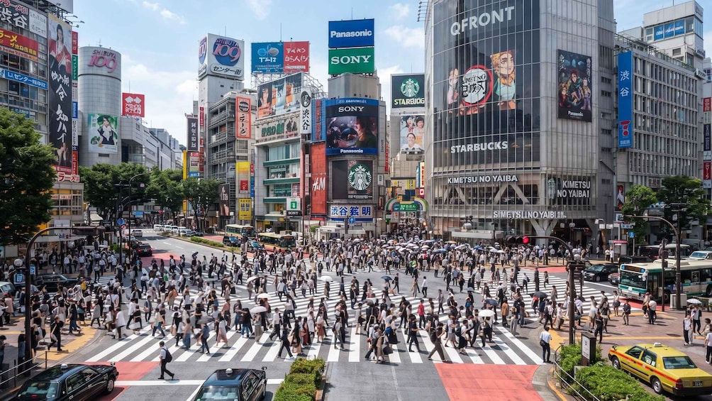 Picture 35 for Activity Tokyo: Shibuya Sky, Crossing & Hachiko Guided Tour 3