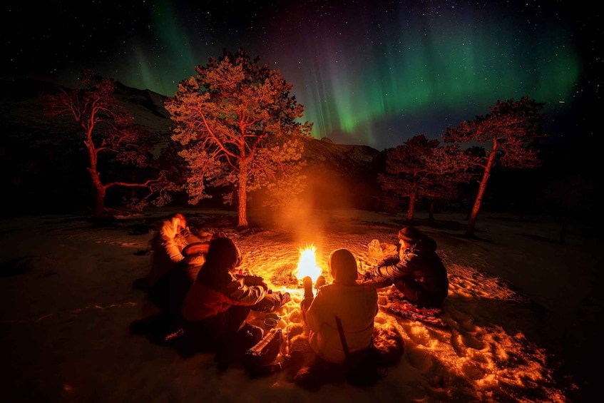 People sitting around a campfire in a snowy landscape with trees and the Northern Lights in the background. 1