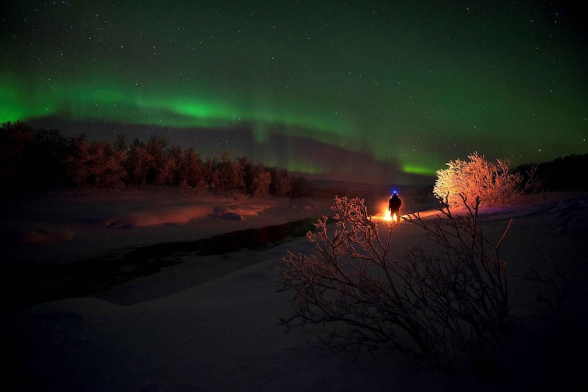 A snowy landscape with the Northern Lights over a forest. 3