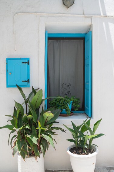 Picture 10 for Activity Explore Nisyros Island with Hotel Pick Up and Guided Tour 2