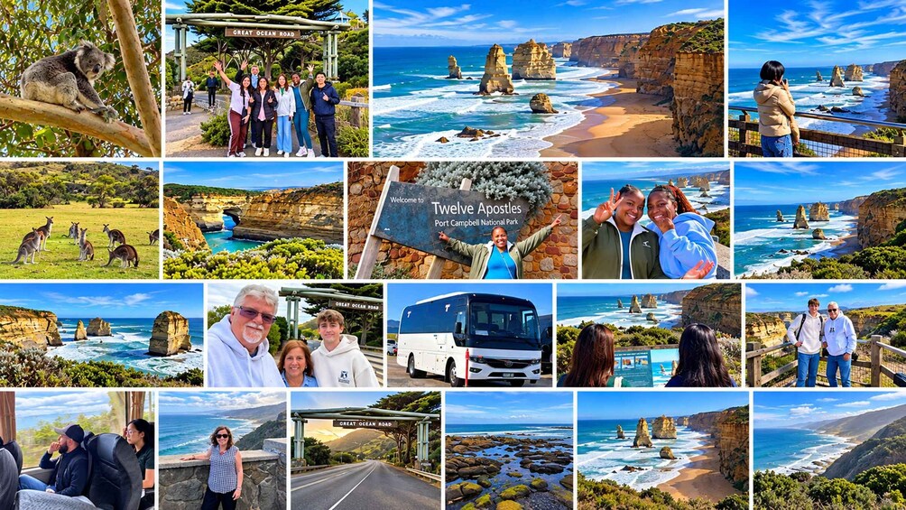 A collage of travel scenes including coastal landscapes, wildlife, and landmarks. 1
