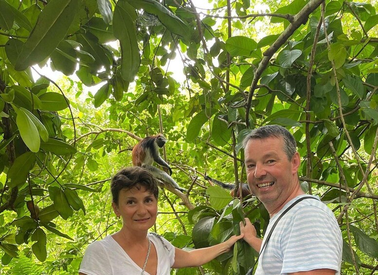 A man and a woman in a lush green forest with a monkey perched on a tree branch. 5