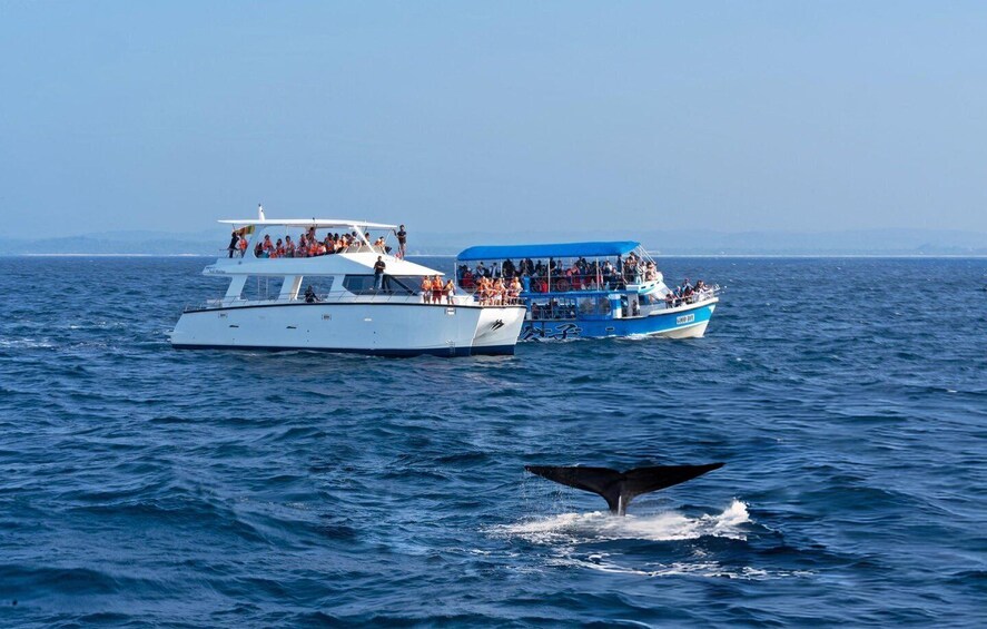 Two boats on the ocean with a whale tail visible in the water. 4