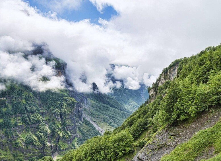 A mountainous landscape with lush green forests and a valley. 1