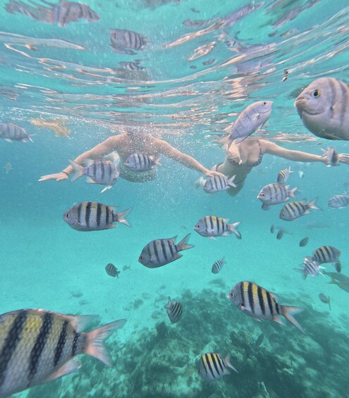 Picture 3 for Activity Nassau: Private Boat Charter Snorkel Tour 5