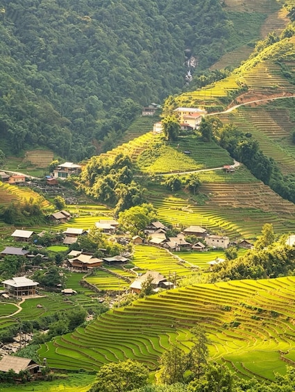 Terraced rice fields, traditional houses, and a waterfall in a mountainous region. 4