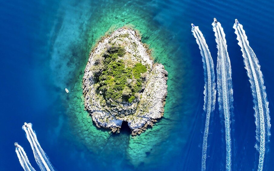 Picture 11 for Activity Rovinj: Luxury Island Hopping with Swimming & Snorkeling 5