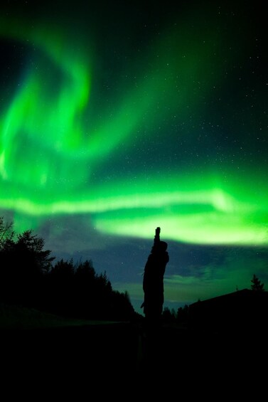 A silhouette of a person gazing at the northern lights. 5