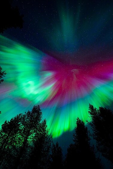 Picture 2 for Activity Rovaniemi: Northern Lights Tour 100% Guaranteed, Free Photos 3
