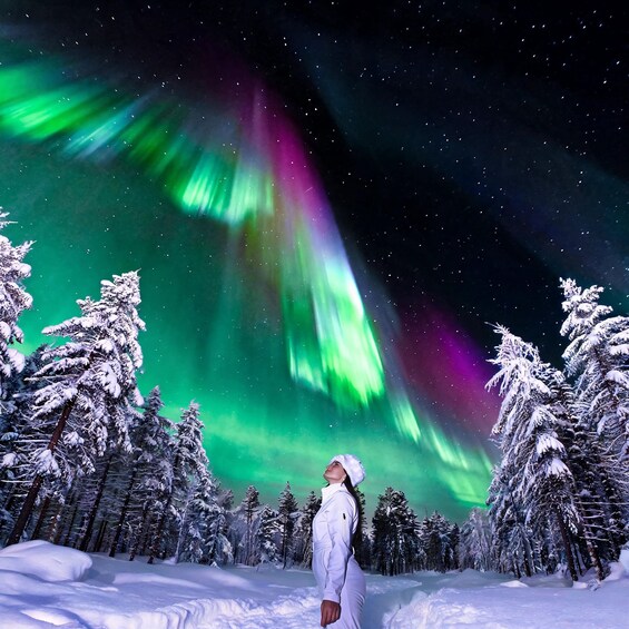 Rovaniemi: ⭐Northern Lights Tour | 100% Guaranteed & Photos⭐ 1