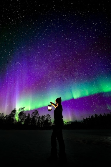 Picture 5 for Activity Rovaniemi: Northern Lights Tour 100% Guaranteed, Free Photos 5