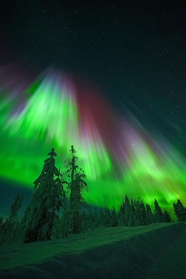 Picture 6 for Activity Rovaniemi: ⭐Northern Lights Tour - 100% Guaranteed & Photos 5