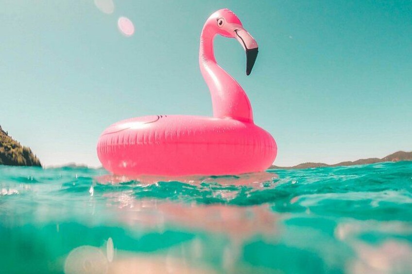 Un flamenco inflable rosa flota sobre aguas turquesas, con un cielo despejado y tierra a lo lejos. 4