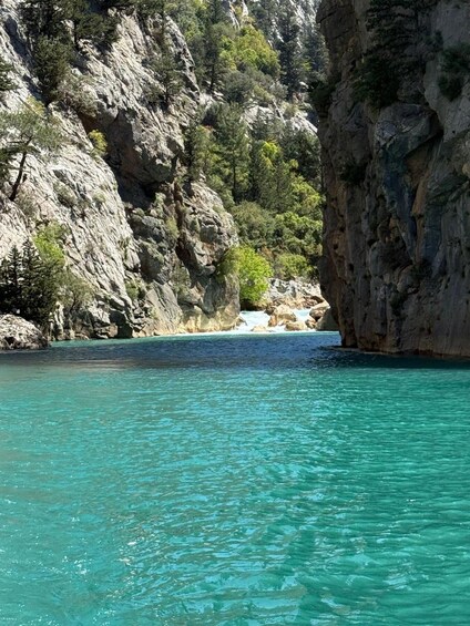 A turquoise sea with rocky cliffs and dense greenery. 5