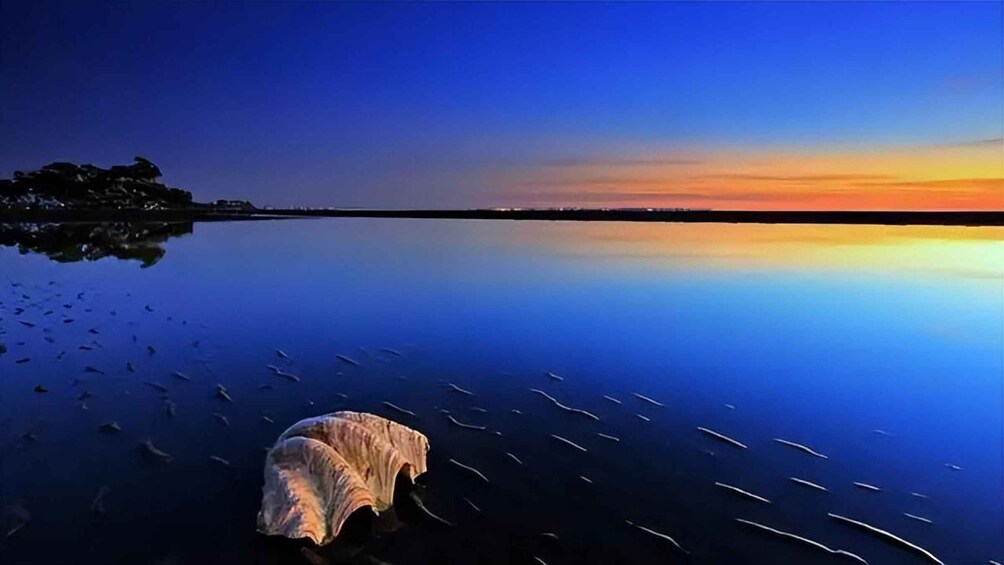 A calm lake at sunset with a shell in the foreground and a tree-lined shore in the background. 1