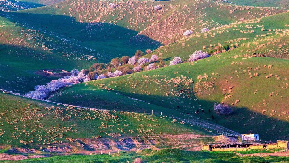 A hilly landscape with a river, fields, and a small building. 3