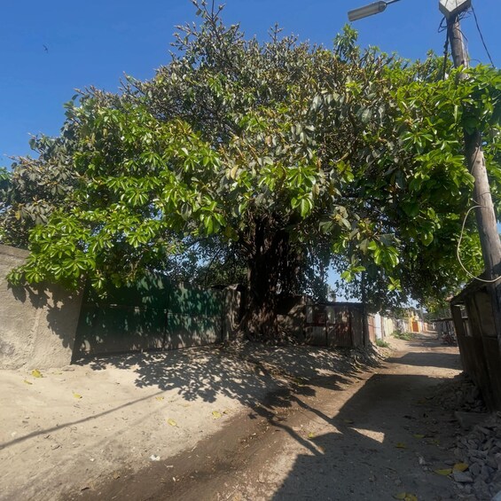 Picture 39 for Activity Maputo: Mafalala Neighborhood Walking Tour 2