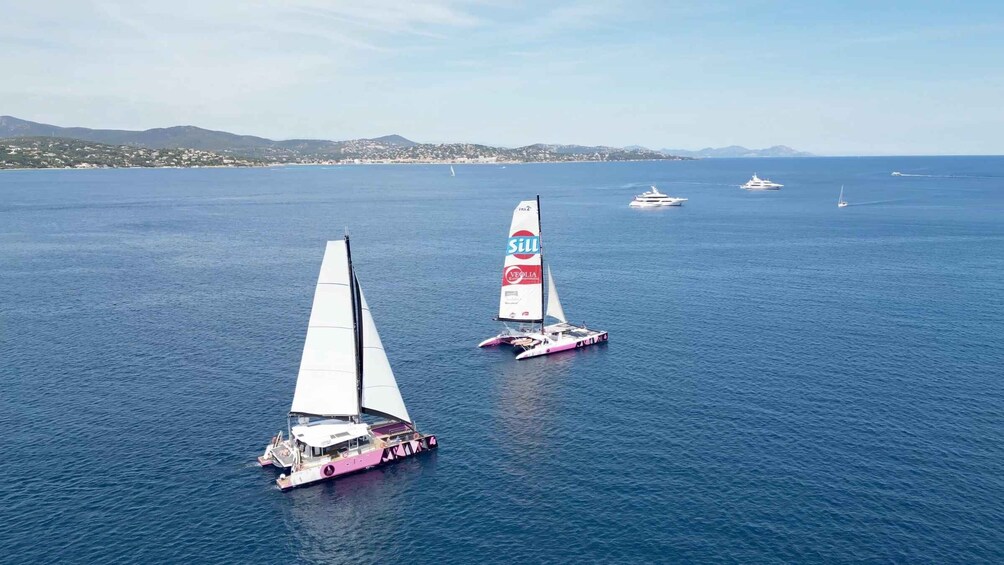 A sailboat with a pink hull and white sails on a calm sea, with other boats and a distant shoreline in the background. 3
