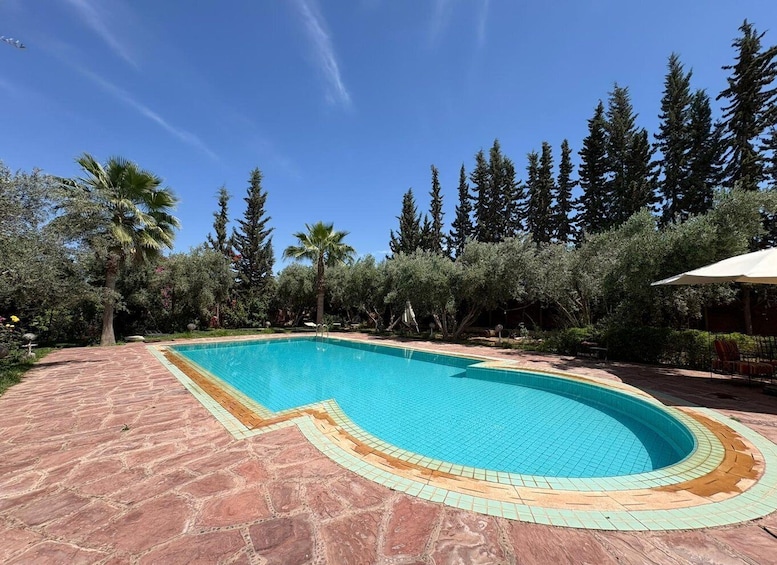 A swimming pool with a curved design, surrounded by a stone patio and various trees. 2
