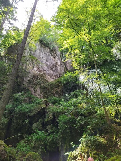 Picture 6 for Activity Discover Moravian Karst: Seven Stops, One Tailored Tour 5