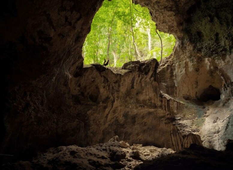 Picture 12 for Activity Cano Hondo Hotel : Overnight Stay & Boat Tour Los Haitises 2