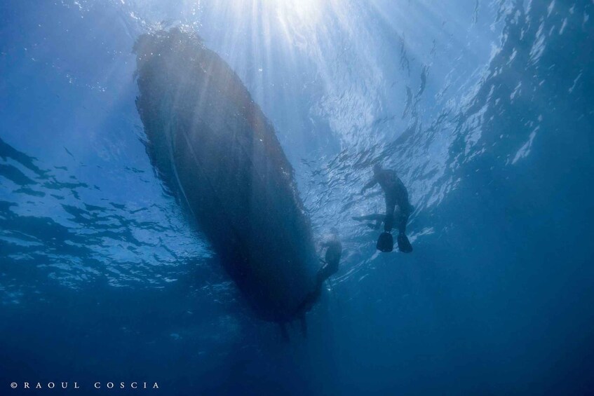 A diver swimming near a large underwater rock formation. 5