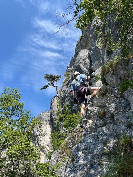 A person climbing a rocky mountain with trees around. 5