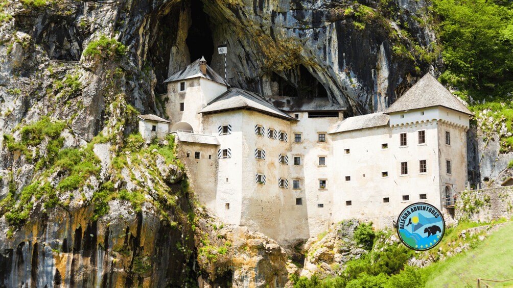 A castle built into a cliffside, surrounded by greenery. 1