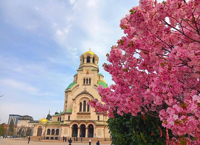 A church with a green dome and pink flowers in the foreground. 5