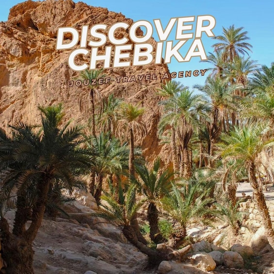 A rocky landscape with palm trees and a clear sky. 1