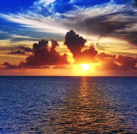 Picture 4 for Activity Punta Gorda: Gulf Coast Sunset Boat Tour 3
