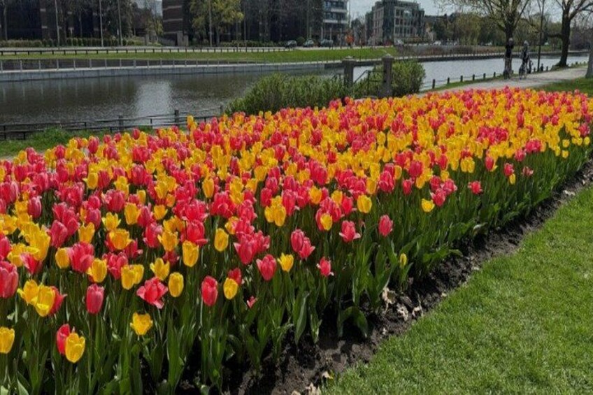 Ottawa Tulip Festival | Ottawa Tours Canada 2