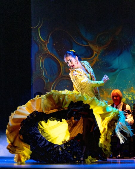 Picture 5 for Activity The Premium Experience at the Teatro Flamenco Granada 2