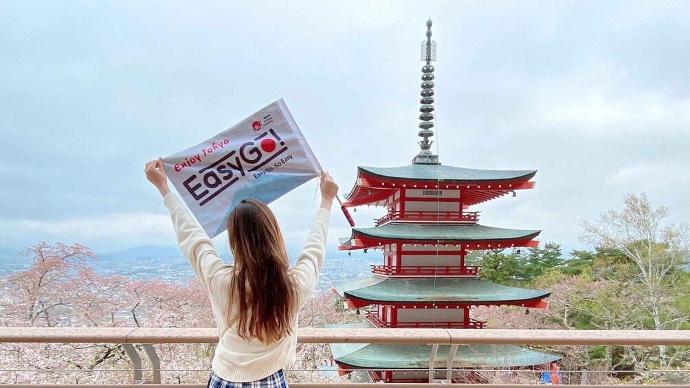 A person holding a sign with 'Enjoy Tokyo' and 'EasyGo' written on it, standing in front of a traditional Japanese pagoda. 2