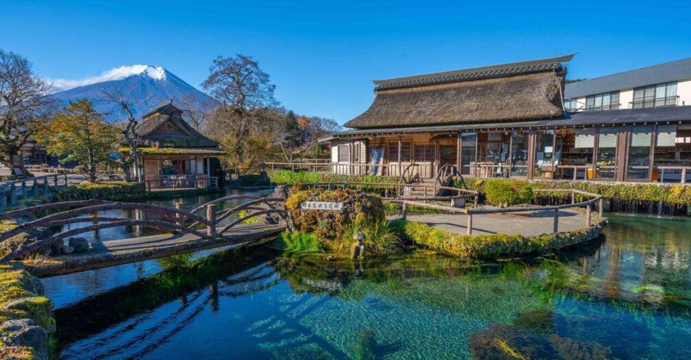 Picture 6 for Activity From Tokyo: Mt.Fuji, Lake Kawaguchi, Oshino Hakkai Day Tour 5